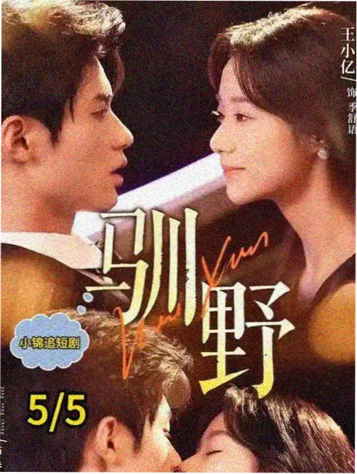 逆潮之翼完结封面